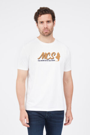 Plain gabardine chinos